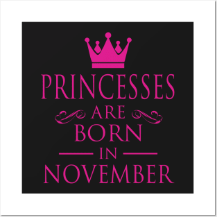 PRINCESS BIRTHDAY PRINCESSES ARE BORN IN NOVEMBER Posters and Art